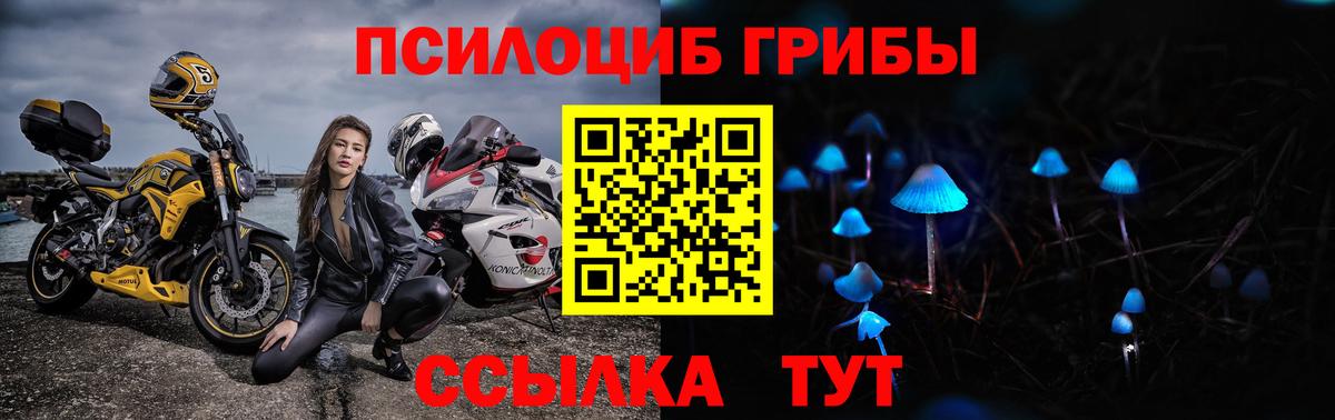 Псилоцибиновые грибы Cubensis  Галлюциногенные грибы Psilocybine cubensis  цены наркотик  Дербент  Вход с VPN 